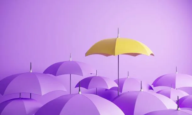 parapluies violets - solest energies - 67